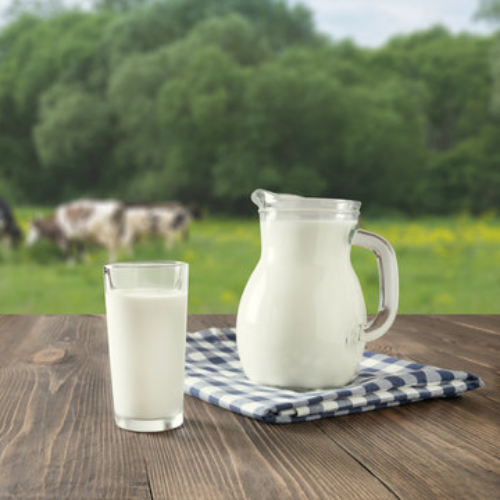 Fresh Milk